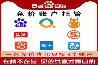 SEM托管服务，成功案例分享转化秘诀